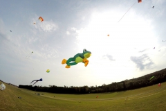 20161001_KiteFlyHigh_Drachenfest-Laichingen-2016_Revolution_Drachen_Einleiner_Kiten_Kite-Schule_Event_Veranstaltung_Kite_Fest_Drachen_Lenkdrachen_Community