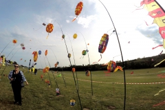 20161001_KiteFlyHigh_Drachenfest-Laichingen-2016_Revolution_Drachen_Einleiner_Kiten_Kite-Schule_Event_Veranstaltung_Kite_Fest_Drachen_Lenkdrachen_Community
