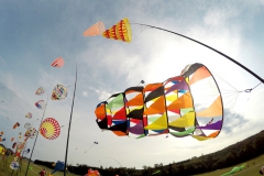 20161001_KiteFlyHigh_Drachenfest-Laichingen-2016_Revolution_Drachen_Einleiner_Kiten_Kite-Schule_Event_Veranstaltung_Kite_Fest_Drachen_Lenkdrachen_Community