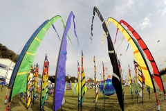 20161001_KiteFlyHigh_Drachenfest-Laichingen-2016_Revolution_Drachen_Einleiner_Kiten_Kite-Schule_Event_Veranstaltung_Kite_Fest_Drachen_Lenkdrachen_Community