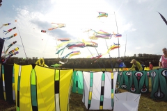 20161001_KiteFlyHigh_Drachenfest-Laichingen-2016_Revolution_Drachen_Einleiner_Kiten_Kite-Schule_Event_Veranstaltung_Kite_Fest_Drachen_Lenkdrachen_Community