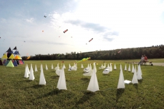 20161001_KiteFlyHigh_Drachenfest-Laichingen-2016_Revolution_Drachen_Einleiner_Kiten_Kite-Schule_Event_Veranstaltung_Kite_Fest_Drachen_Lenkdrachen_Community