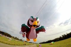20161001_KiteFlyHigh_Drachenfest-Laichingen-2016_Revolution_Drachen_Einleiner_Kiten_Kite-Schule_Event_Veranstaltung_Kite_Fest_Drachen_Lenkdrachen_Community