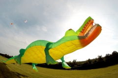 20161001_KiteFlyHigh_Drachenfest-Laichingen-2016_Revolution_Drachen_Einleiner_Kiten_Kite-Schule_Event_Veranstaltung_Kite_Fest_Drachen_Lenkdrachen_Community