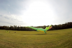 20161001_KiteFlyHigh_Drachenfest-Laichingen-2016_Revolution_Drachen_Einleiner_Kiten_Kite-Schule_Event_Veranstaltung_Kite_Fest_Drachen_Lenkdrachen_Community