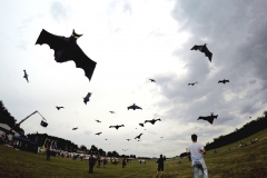 20161001_KiteFlyHigh_Drachenfest-Laichingen-2016_Revolution_Drachen_Einleiner_Kiten_Kite-Schule_Event_Veranstaltung_Kite_Fest_Drachen_Lenkdrachen_Community