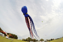 20161001_KiteFlyHigh_Drachenfest-Laichingen-2016_Revolution_Drachen_Einleiner_Kiten_Kite-Schule_Event_Veranstaltung_Kite_Fest_Drachen_Lenkdrachen_Community
