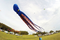 20161001_KiteFlyHigh_Drachenfest-Laichingen-2016_Revolution_Drachen_Einleiner_Kiten_Kite-Schule_Event_Veranstaltung_Kite_Fest_Drachen_Lenkdrachen_Community