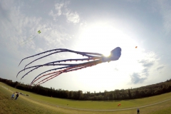 20161001_KiteFlyHigh_Drachenfest-Laichingen-2016_Revolution_Drachen_Einleiner_Kiten_Kite-Schule_Event_Veranstaltung_Kite_Fest_Drachen_Lenkdrachen_Community